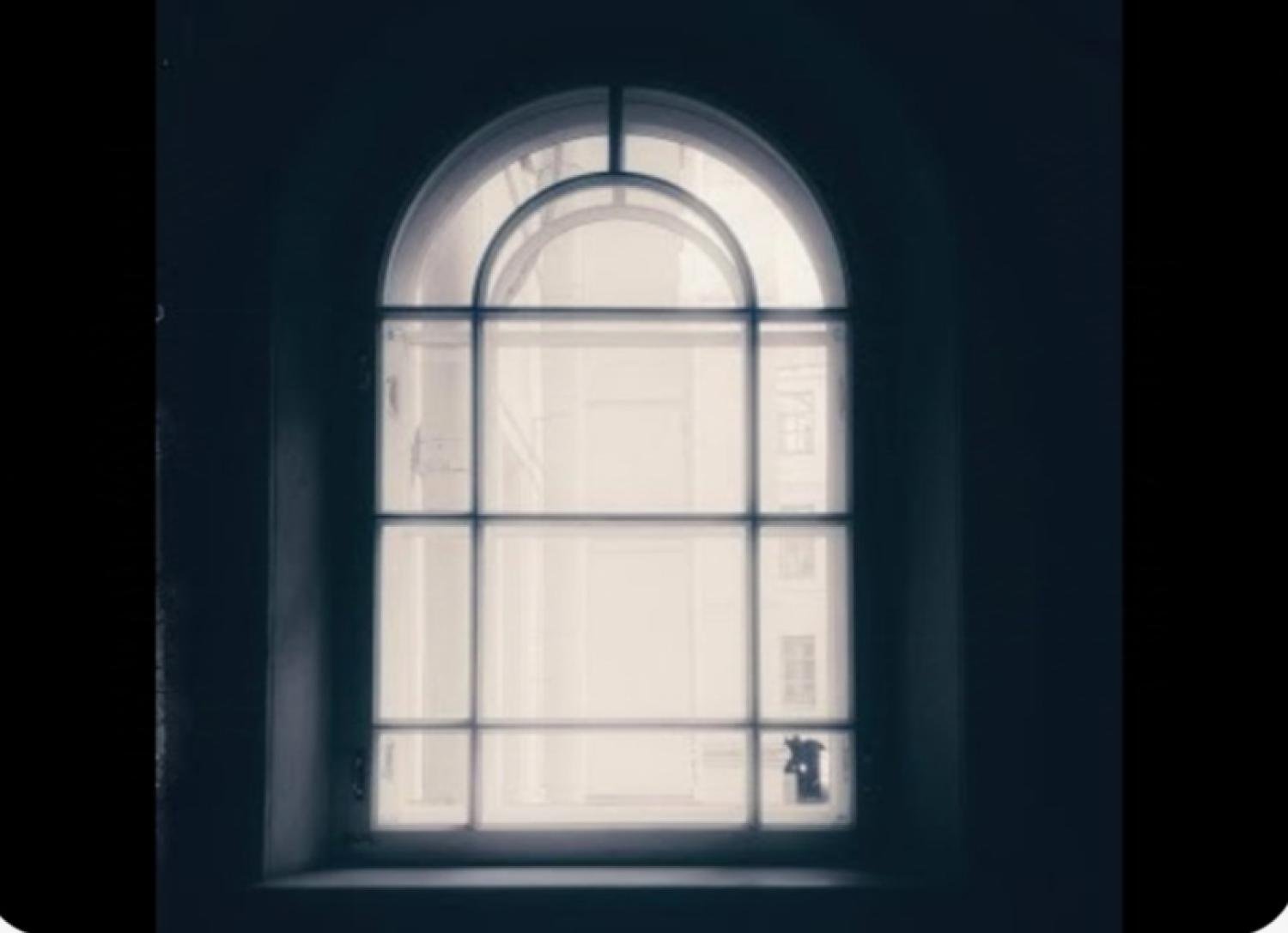 Коля тут. обложка фото